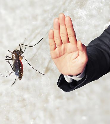 imagem Controle de Pragas Uau Dedetizadora